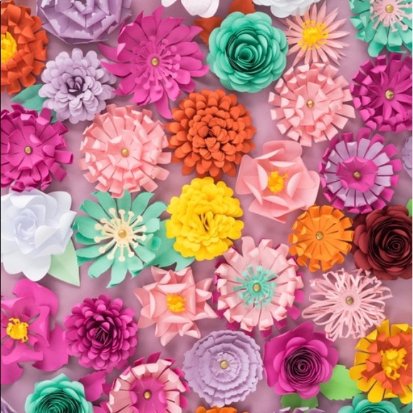 Meet your Posher, Zahra - Picture 1 of 1